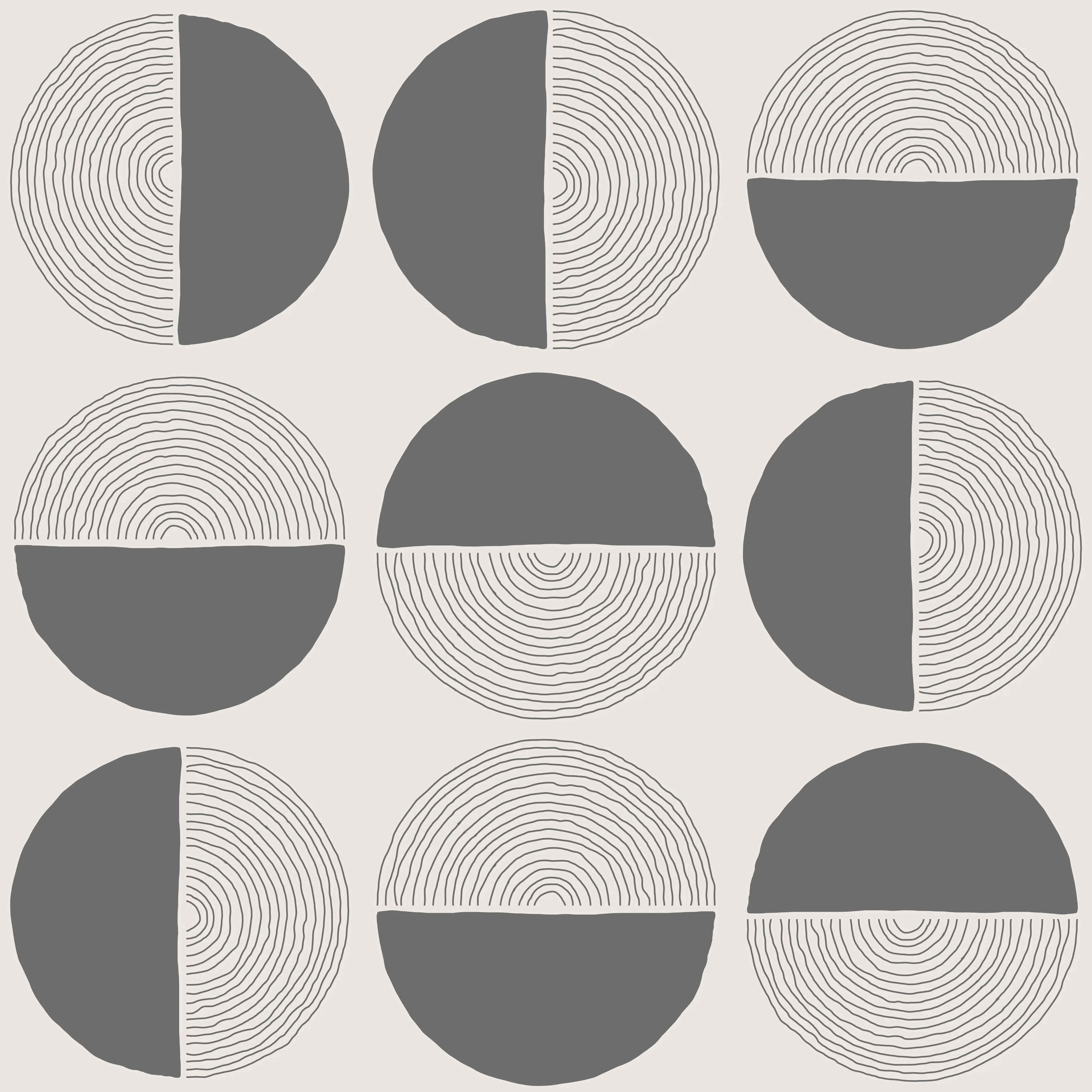 Mesto Gris