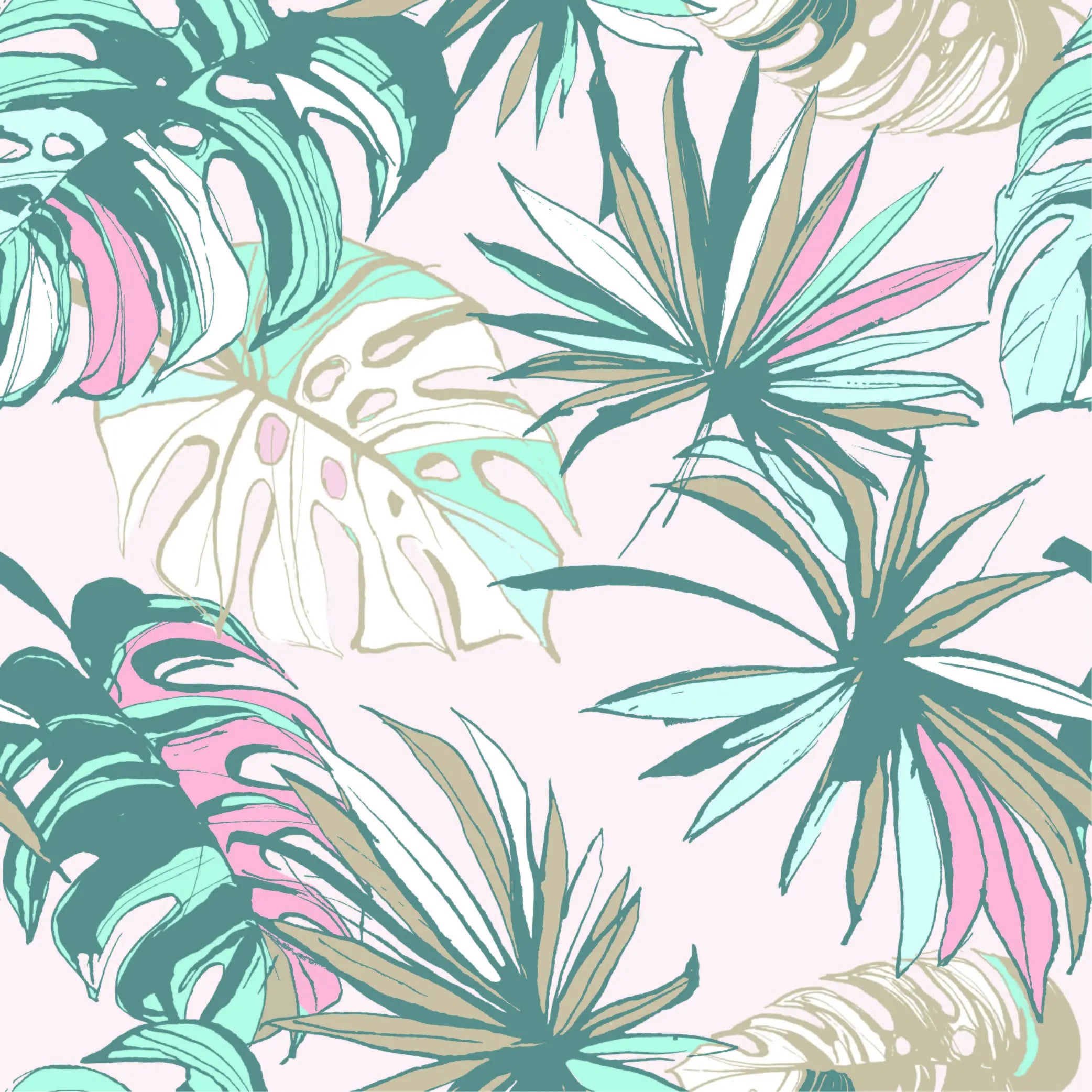 Aracella
